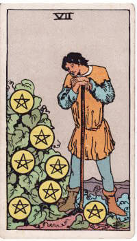 Tarot card: 7 of Pentacles